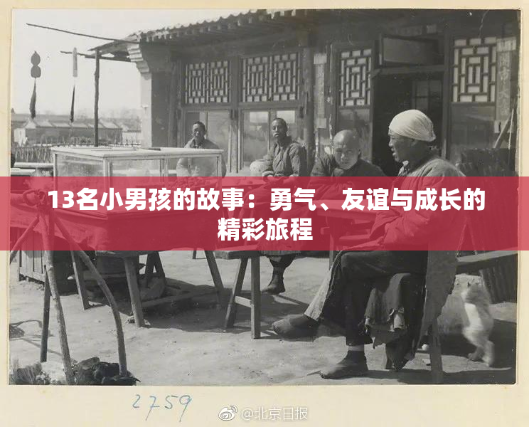 13名小男孩的故事：勇气、友谊与成长的精彩旅程