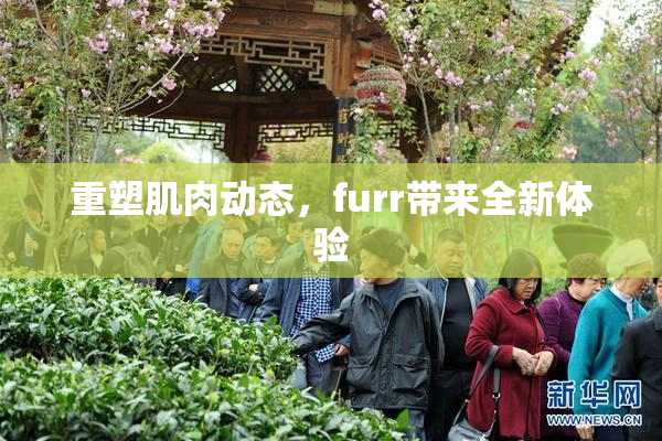 重塑肌肉动态，furr带来全新体验