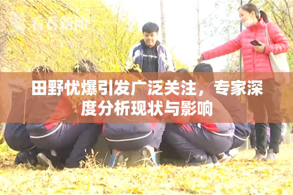 田野忧爆引发广泛关注，专家深度分析现状与影响