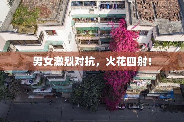 男女激烈对抗，火花四射！