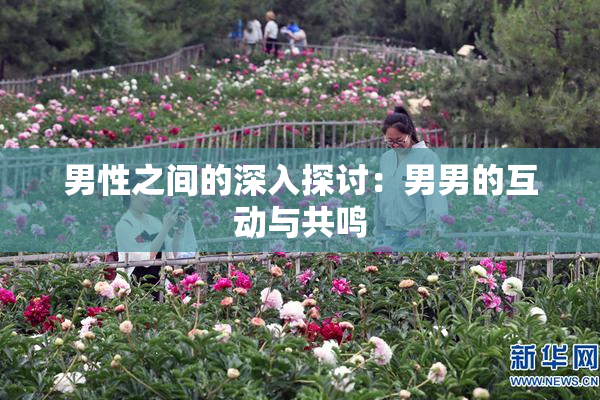 男性之间的深入探讨：男男的互动与共鸣