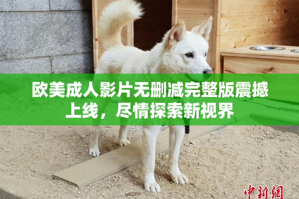 欧美成人影片无删减完整版震撼上线，尽情探索新视界