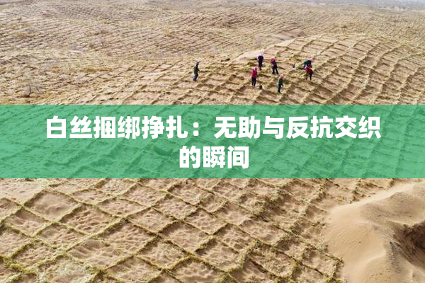 白丝捆绑挣扎：无助与反抗交织的瞬间