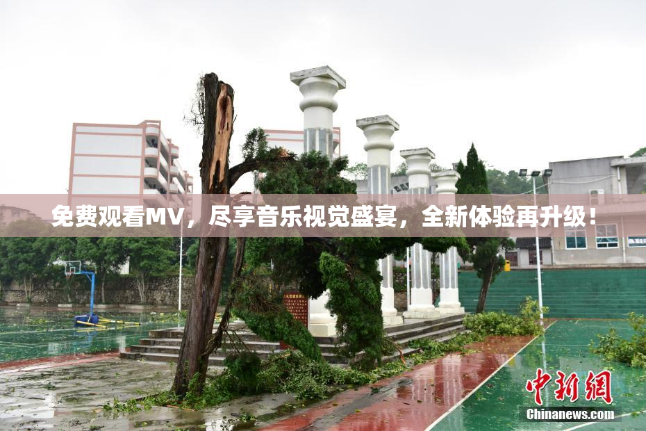 免费观看MV，尽享音乐视觉盛宴，全新体验再升级！