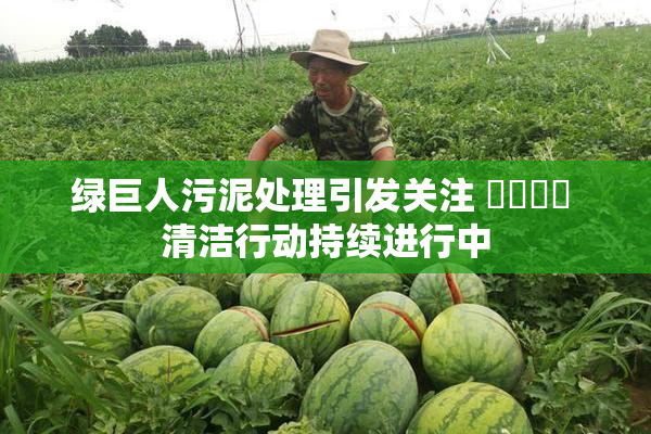 绿巨人污泥处理引发关注 ❌‌❌‌ 清洁行动持续进行中