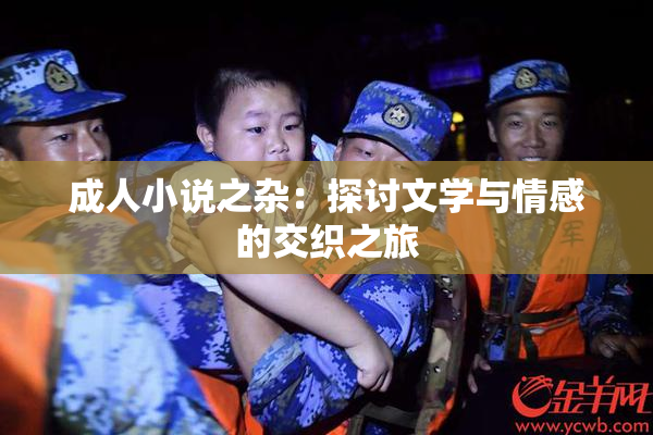 成人小说之杂：探讨文学与情感的交织之旅