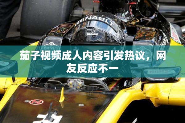 茄子视频成人内容引发热议，网友反应不一