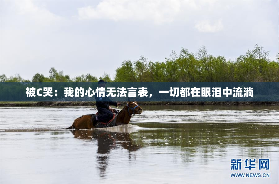 被C哭：我的心情无法言表，一切都在眼泪中流淌