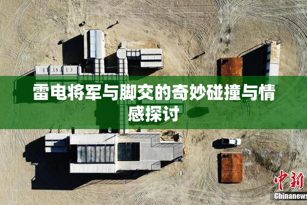 雷电将军与脚交的奇妙碰撞与情感探讨