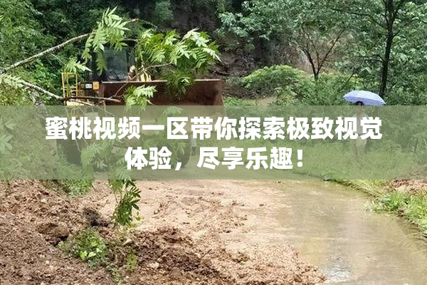 蜜桃视频一区带你探索极致视觉体验，尽享乐趣！