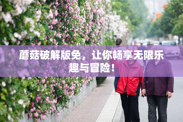 蘑菇破解版免，让你畅享无限乐趣与冒险！