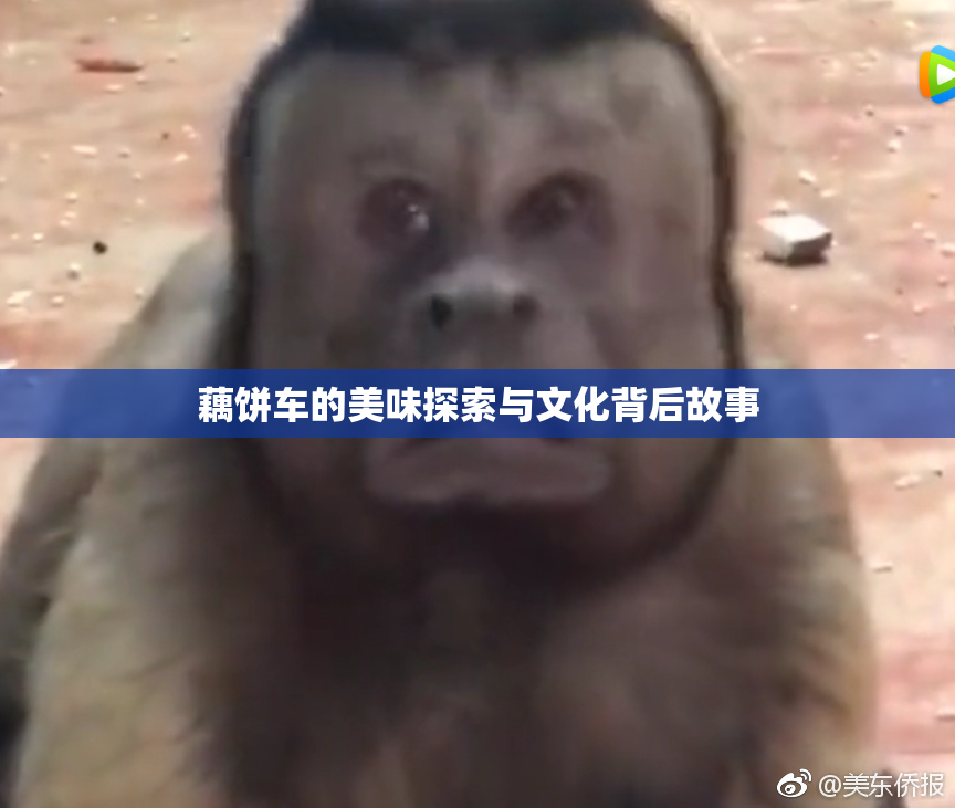 藕饼车的美味探索与文化背后故事