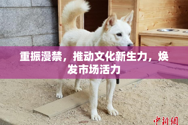重振漫禁，推动文化新生力，焕发市场活力
