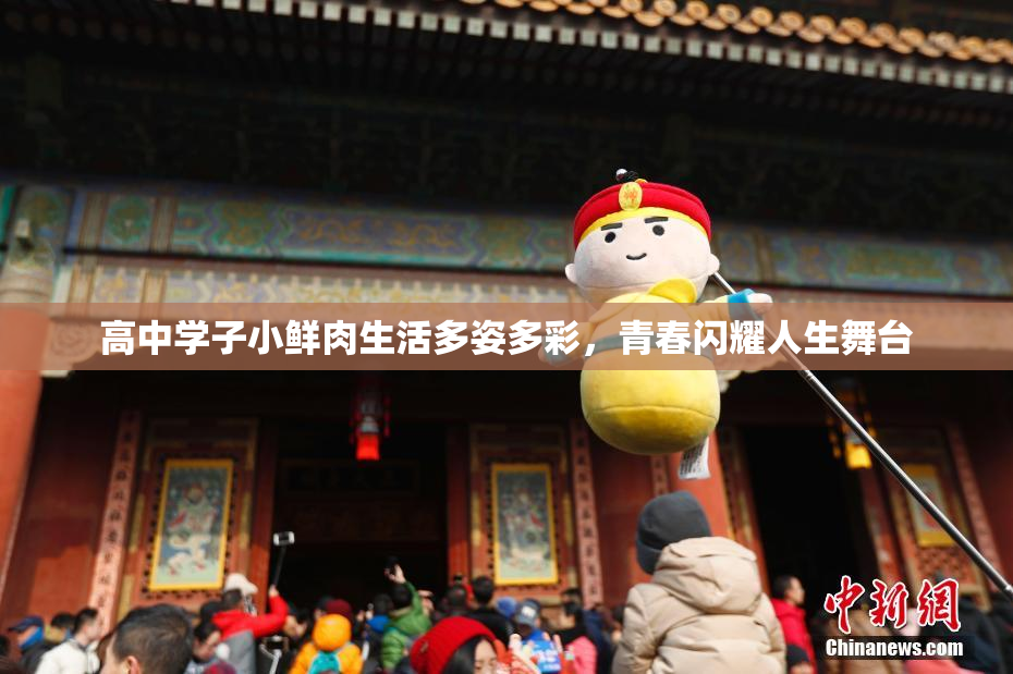 高中学子小鲜肉生活多姿多彩，青春闪耀人生舞台