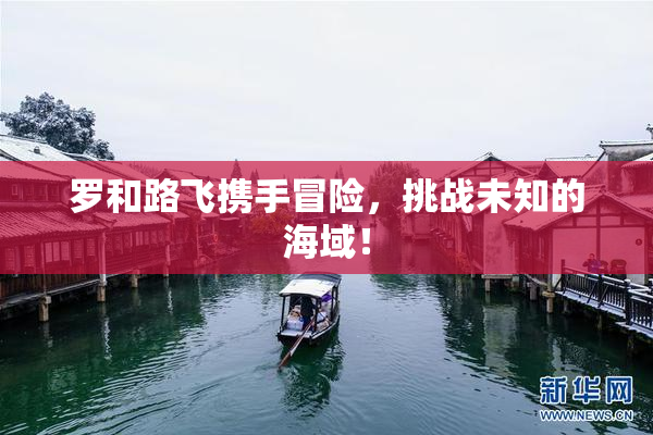 罗和路飞携手冒险，挑战未知的海域！