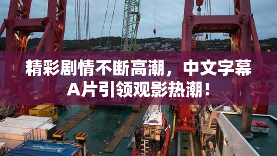 精彩剧情不断高潮，中文字幕A片引领观影热潮！