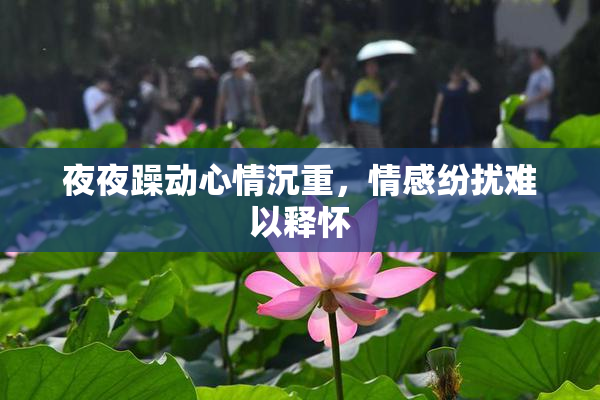 夜夜躁动心情沉重，情感纷扰难以释怀