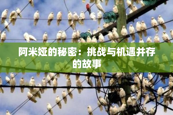 阿米娅的秘密：挑战与机遇并存的故事