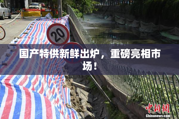 国产特供新鲜出炉，重磅亮相市场！