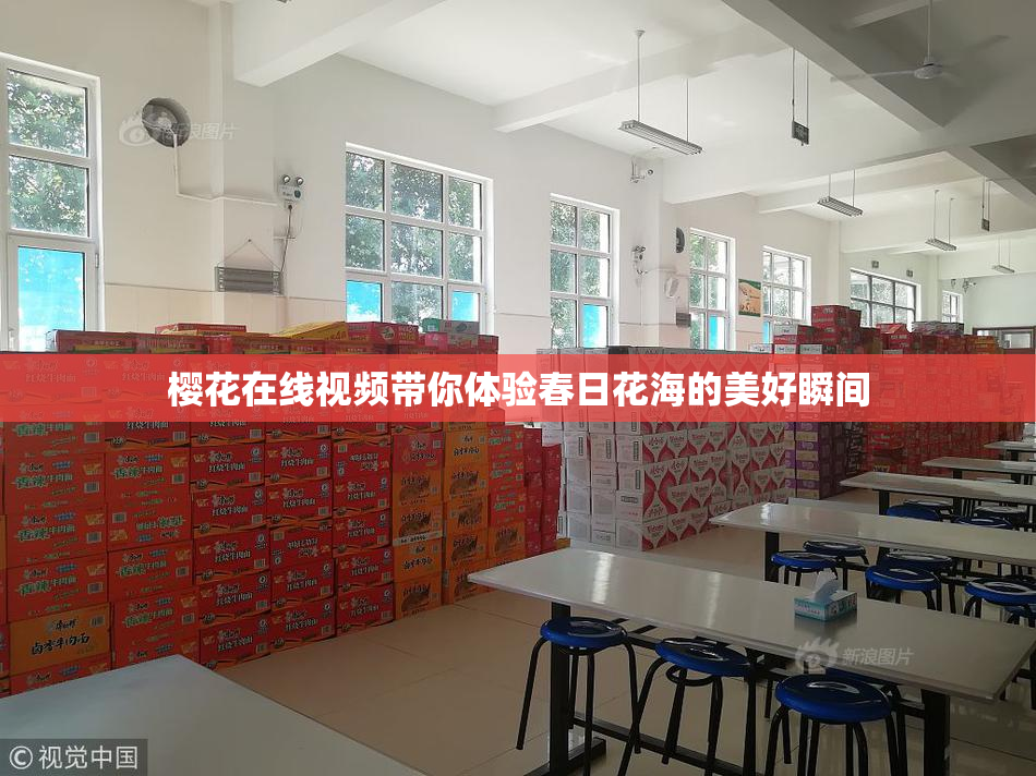 樱花在线视频带你体验春日花海的美好瞬间