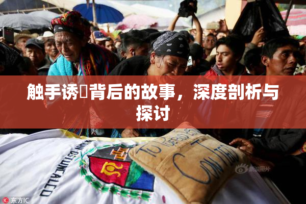触手诱奷背后的故事，深度剖析与探讨