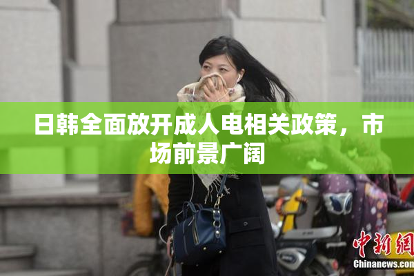 日韩全面放开成人电相关政策，市场前景广阔