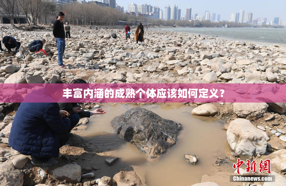 丰富内涵的成熟个体应该如何定义？