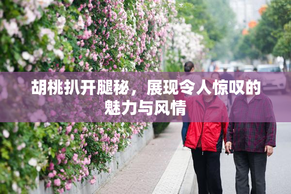 胡桃扒开腿秘，展现令人惊叹的魅力与风情