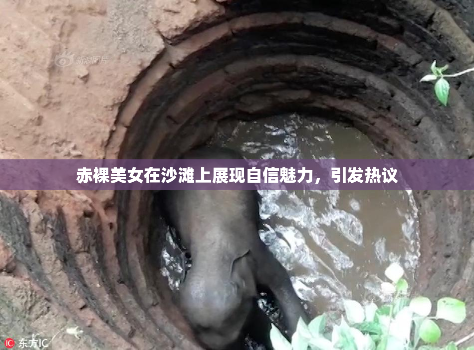 赤裸美女在沙滩上展现自信魅力，引发热议