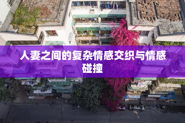 人妻之间的复杂情感交织与情感碰撞