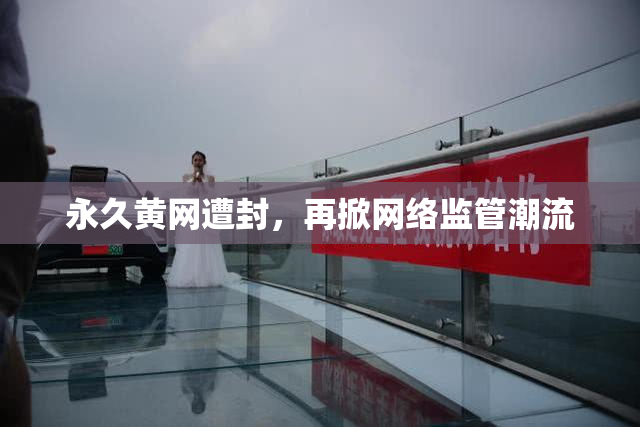 永久黄网遭封，再掀网络监管潮流