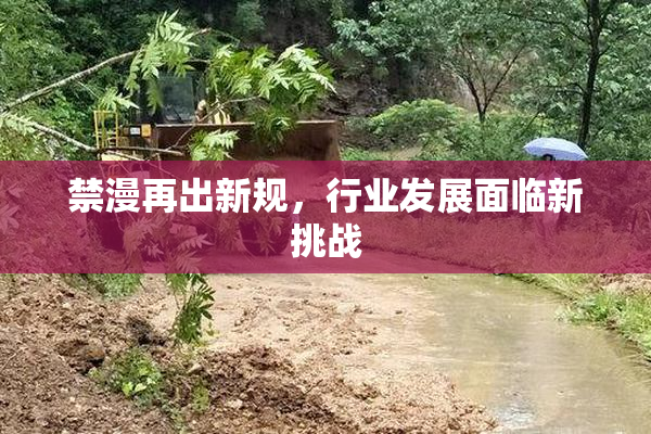 禁漫再出新规，行业发展面临新挑战