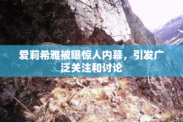 爱莉希雅被曝惊人内幕，引发广泛关注和讨论