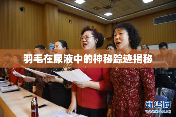 羽毛在尿液中的神秘踪迹揭秘