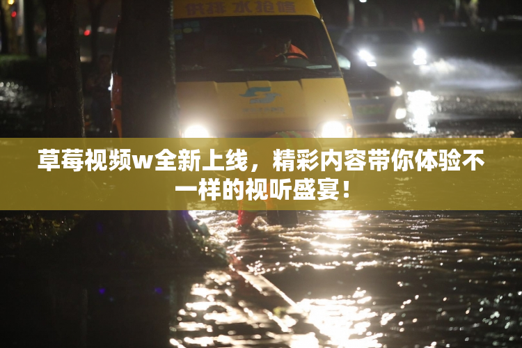 草莓视频w全新上线，精彩内容带你体验不一样的视听盛宴！