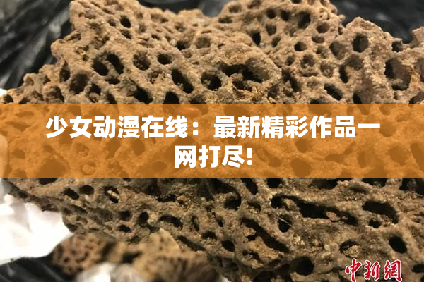 少女动漫在线：最新精彩作品一网打尽!