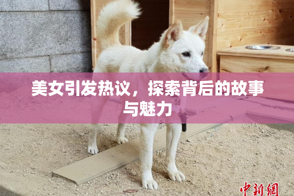 美女引发热议，探索背后的故事与魅力