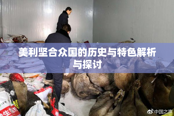 美利坚合众国的历史与特色解析与探讨