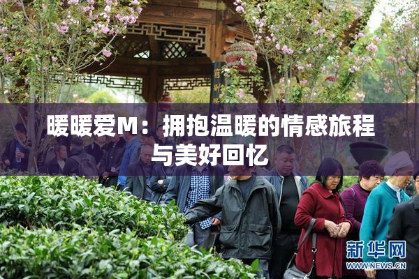 暖暖爱M：拥抱温暖的情感旅程与美好回忆