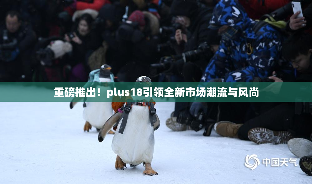 重磅推出！plus18引领全新市场潮流与风尚