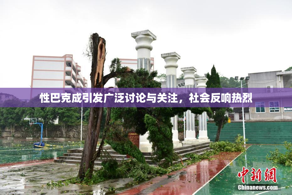 性巴克成引发广泛讨论与关注，社会反响热烈