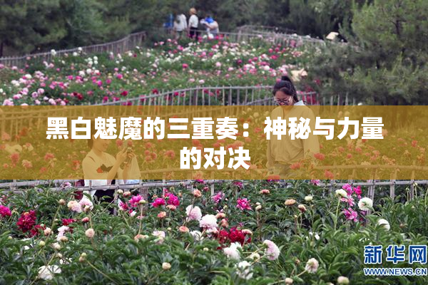 黑白魅魔的三重奏：神秘与力量的对决