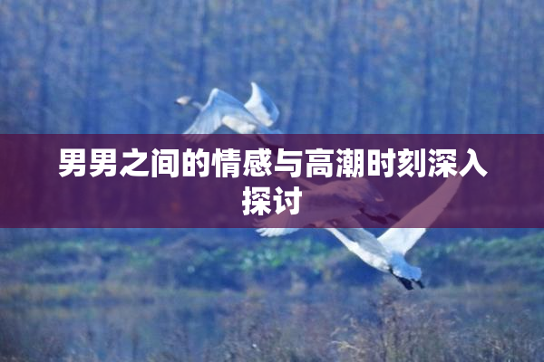 男男之间的情感与高潮时刻深入探讨