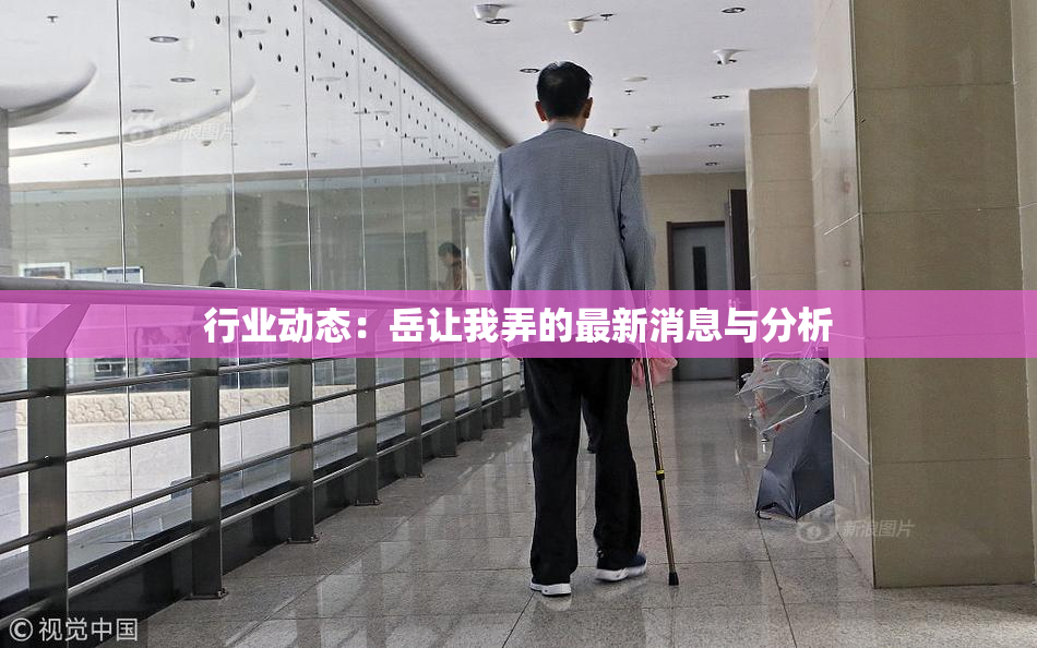 行业动态：岳让我弄的最新消息与分析