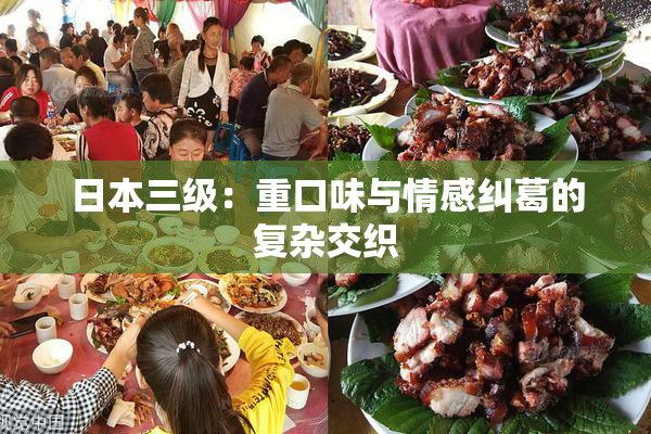 日本三级：重口味与情感纠葛的复杂交织
