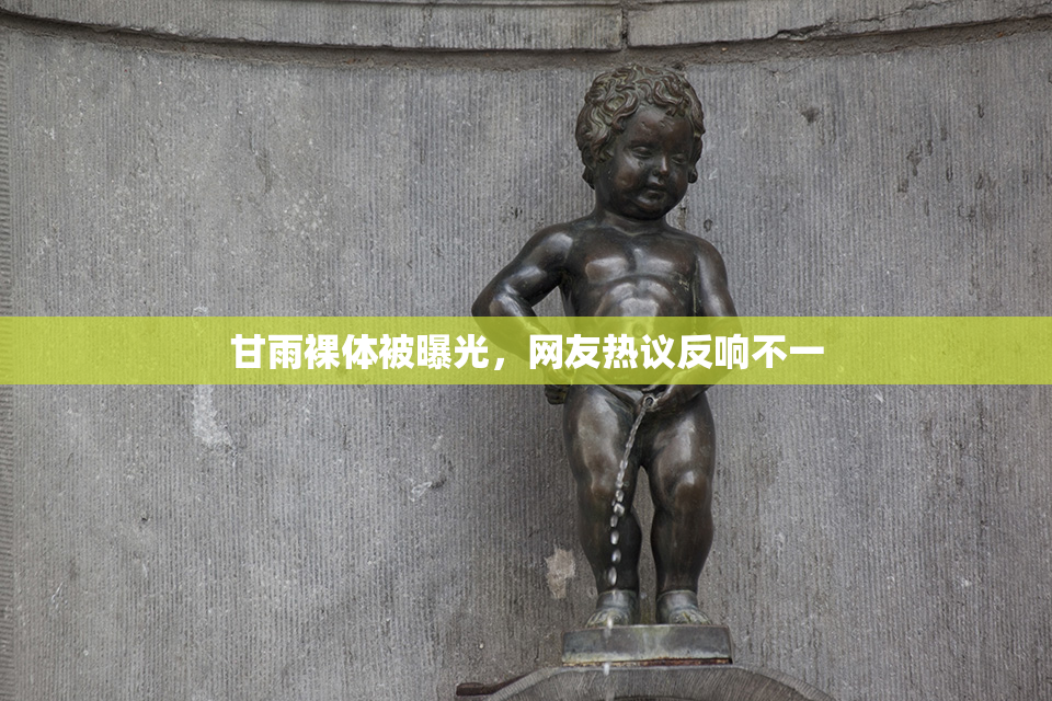 甘雨裸体被曝光，网友热议反响不一