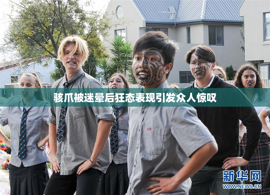 骇爪被迷晕后狂态表现引发众人惊叹