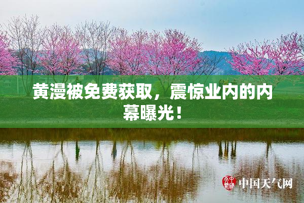 黄漫被免费获取，震惊业内的内幕曝光！