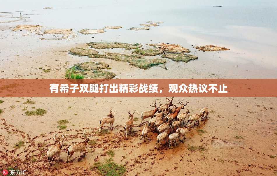 有希子双腿打出精彩战绩，观众热议不止