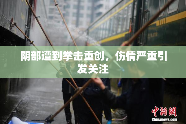 阴部遭到拳击重创，伤情严重引发关注